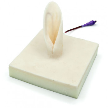 Poche à sang pour simulateur d'oreille de lapin