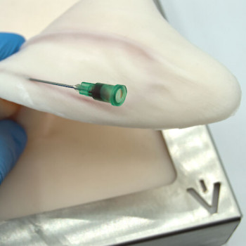 Rabbit auricular simulator