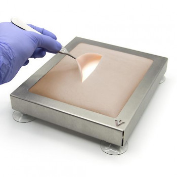Peau de suture d'entrainement de primate