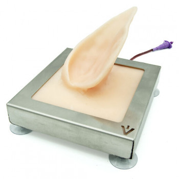 Simulateur d'oreille de cochon