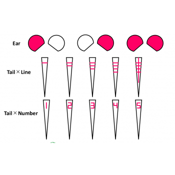 exemple d'identification à la queue, oreille, peau