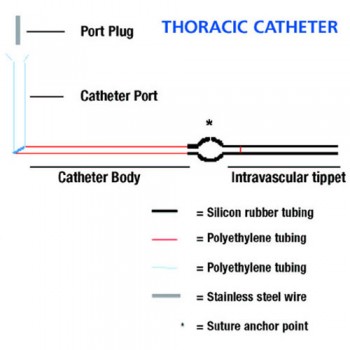 Cathéter veine jugulaire thoracique du rat