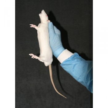 BIO-RAT  Rat training simulator