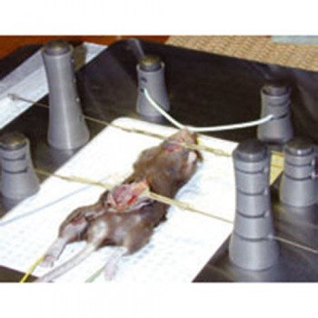 Small Animal Surgery System