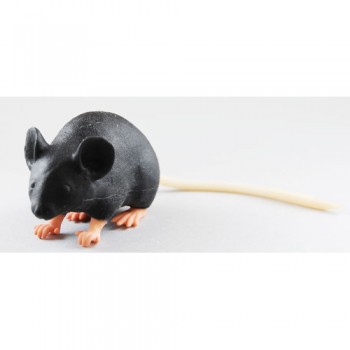 Modèle d'imitation de souris