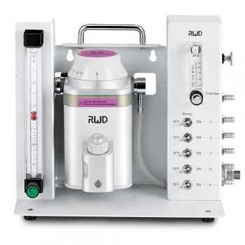 R550 - Multi-output anesthesia machine