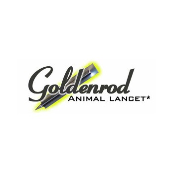 Goldenrod Animal Lancet