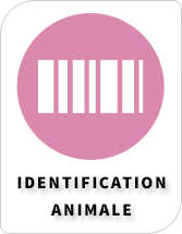 BiosebLab - Catégories - Identification animale