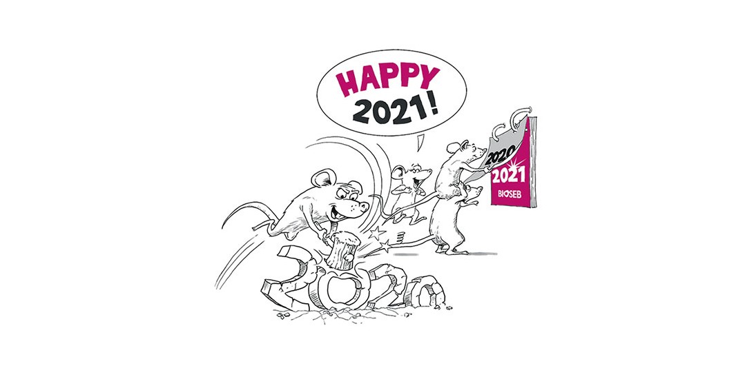 Bonne année 2021